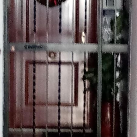 Shared Accommodation A Room With A View Of The Garden Siviglia Esterno foto